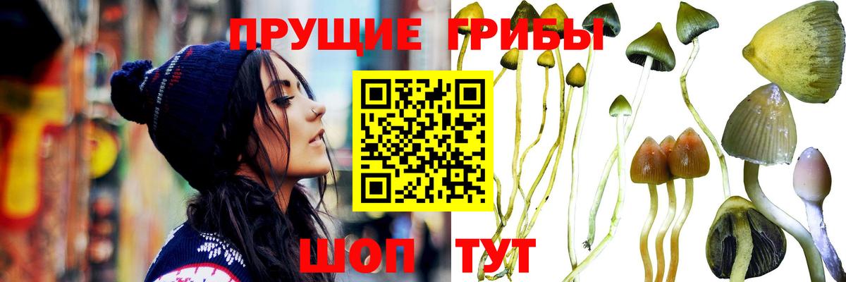 Учалы  цены наркотик  Вход с VPN  Псилоцибиновые грибы мухоморы 